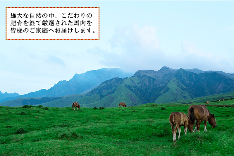 【トモヨシ】純国産 馬刺し 4種 上赤身 霜降り 馬ユッケ 馬レバー 各100g 計400g 希少部位 定番 熊本名物 国内肥育 熊本と畜 贈り物 贈答 ギフト 急速冷凍 小分け 真空パック 鮮度を保持 専用箱 熊本 阿蘇 小国町 チルド 冷凍配送