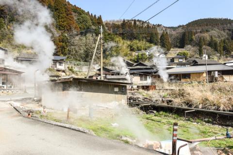 【地熱の里】阿蘇 熊本 小国郷 小国産 原木しいたけ 乾燥しいたけ 椎茸 ドライ 地熱乾燥 わいた温泉郷 SDGｓ 常温保管 30g 4袋 計120g ご自宅用 贈り物 プレゼント