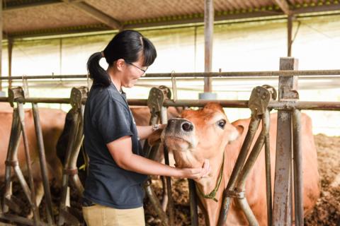 【JA阿蘇】小国ジャージー牛乳 阿蘇 小国郷 ジャージー牛乳 ゴールデンミルク 牧場しぼり アイスクリーム バニラ 抹茶 濃厚 贈答 ギフト 記念日 おうち時間 お取り寄せ アイス アイスクリームパーティーセット 480ml×5（バニラ×3、抹茶×2）