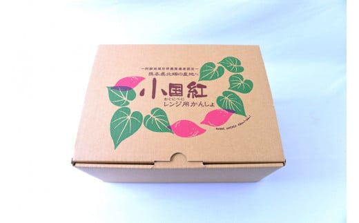 【JA阿蘇】先行予約 令和8年1月以降発送 JA阿蘇 熊本 阿蘇 小国町 小国郷 レンジでチン さつまいも サツマイモ からいも 3kg 3000g 2個×8袋 優しい甘さ ホクホク 天然のスイーツ レンジ用甘藷 小国紅 ギフト