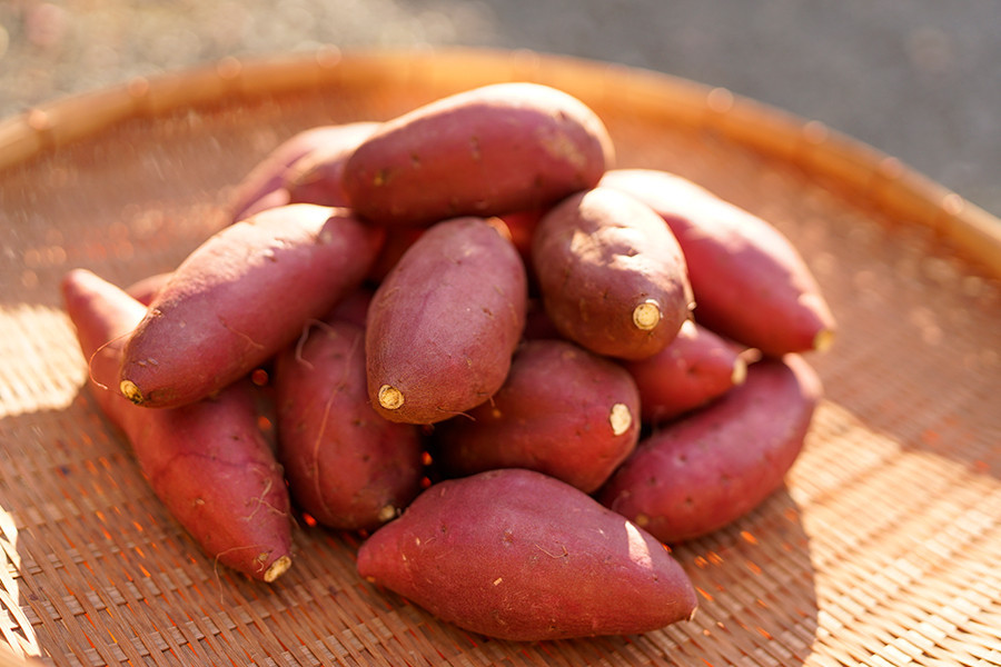 【下巣畑農産】阿蘇 小国町 下巣産 小国シルクスイート さつまいも 加工品 マッシュ テリーヌ 食感 ねっとり おやつ 菓子 離乳食 材料 シルクスィート 蜜芋 高糖度 300g×5 1.5kg 国際基準 GAP認証 6次産業認定 認定農家 冷凍