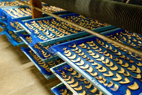 【児玉酒店】ドライフルーツ りんご 林檎 熊本 阿蘇 小国郷 わいた 岳の湯 地熱 蒸気 地熱乾燥 30g 4袋 120g ご自宅用 お取り寄せ 贈答 ギフト 優しい甘さ 素材の美味しさ