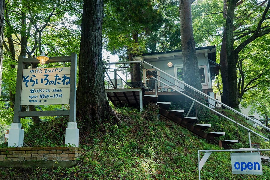 【そらいろのたね】 熊本 阿蘇 小国町 わいた温泉 山川温泉 手作りパン パンセット 詰め合わせ レーズン クロワッサン ジャージーミルク 木の実 チーズ クリーム セット 人気 ハンドメイド 創業20年以上 老舗 ツリーハウス 冷凍 おすすめパンセット
