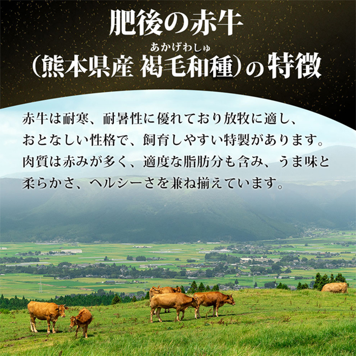 【阿蘇牧場】肥後の赤牛 ハンバーグ 150g×10個 計1.5kg 1500g 熊本県産 和牛100％ 阿蘇小国ジャージー4.5牛乳使用 大判 和牛ハンバーグ 小分け 個包装 焼くだけ簡単 冷凍 熊本 阿蘇 小国町