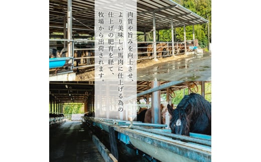 【阿蘇牧場】熊本と畜 小国育ち 小国馬 地元産 馬刺し 阿蘇 熊本 小国 国産 阿蘇の大地 放牧馬 赤身 上赤身 さっぱりとした旨み 小分け 馬肉 300g 馬刺し醤油 150ml 専用醤油 七福醤油店 タレ付き 真空パック 老舗専門店 ギフト 贈答用