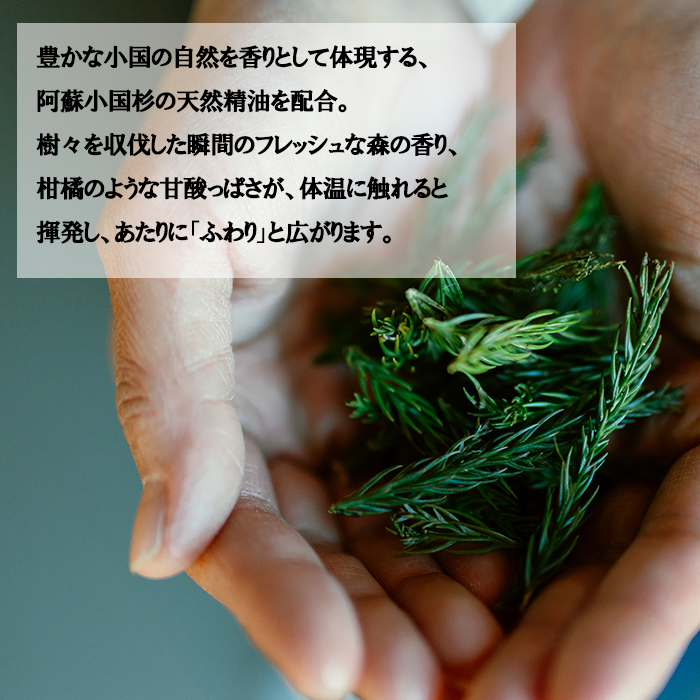 【杖立温泉旅館組合】湯気の森 ボディクリーム 40g 入浴剤 25g 各4個 セット 杖立温泉 小国杉 温泉成分 精油 地元素材 しっとり 滑らか 保湿 企画開発 地場産品 ご自宅用 ギフト 贈答 贈り物 熊本 阿蘇 小国町