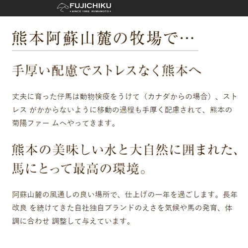 【フジチク】ふじ馬刺し 国内肥育 熊本肥育 熊本と畜 新鮮 馬ユッケ 50g×6 希少 馬刺し 馬肉 希少部位 300g 専用タレ 冷凍 真空パック ISO22000取得 UKAS認証 牧場直送 ギフト