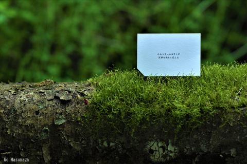 【KALCANO】小国杉ジュエリー mii-みい ピアス ジュエリー jewelry アクセサリー レディース 熊本 阿蘇小国杉 工芸品 木製 キューブ 三粒タイプ 木糸 ギフト プレゼント Ogunist