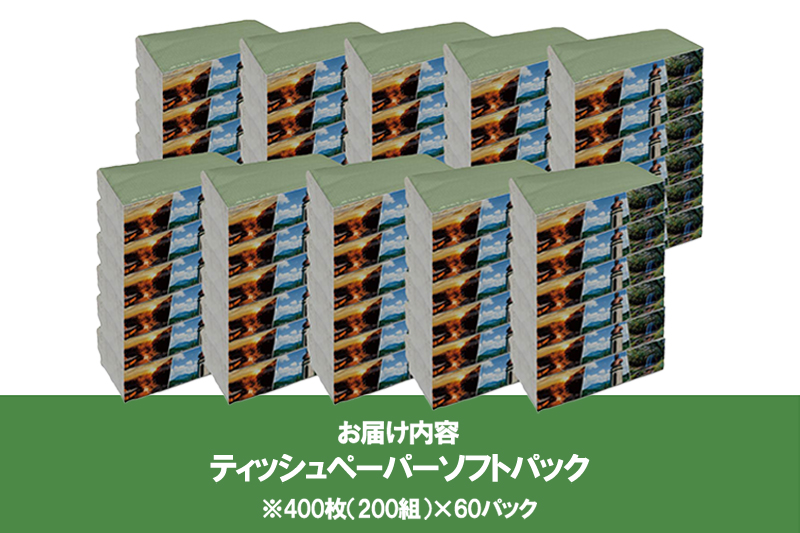 【令和8年4月～出荷】ティッシュペーパー ピュアパルプ ソフトパックティッシュ 60パック×400枚 200組 柔らか コンパクト 日用品 必需品 まとめ買い 常備品 備蓄 防災グッズ 熊本県 小国町 観光スポット紹介 オリジナル 常温配送