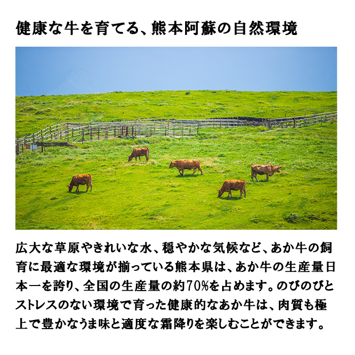 【三協畜産】熊本和牛 あか牛 熊本県産 肥育 加工品 阿蘇 熊本 褐毛和種 褐牛 和牛 ご当地 あか牛100% 牛肉 餃子 ぎょうざ 20個 3セット 計60個 ジューシー 惣菜 おかず ご飯のお供 熊本名物 ご家庭用 ギフト 贈答用