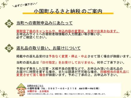 【学びやの里】熊本 阿蘇 小国郷 キャンプ場 フリーサイト×1面 キャンプ場利用券 芝生 初心者 ソロ ファミリー グループ トイレ ウオシュレット 給水場 遊具 AM10時チェックイン 翌15時チェックアウト 最大29時間滞在 北里柴三郎