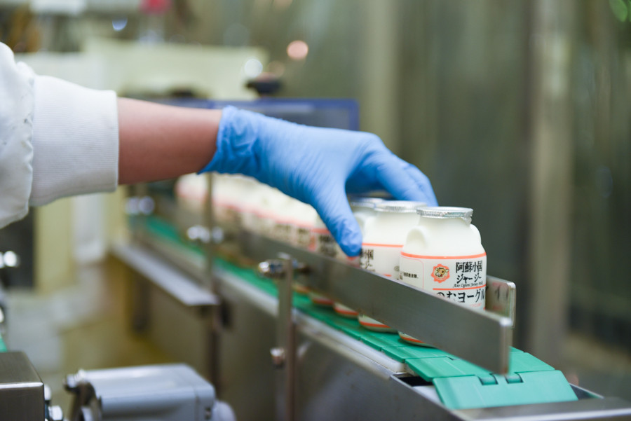 【JA阿蘇】年内受付終了 阿蘇小国ジャージー のむヨーグルト 150ml 12本 1800ml 贈答 阿蘇 熊本 小国郷 JA阿蘇 小国郷 ジャージー牛乳 小国ジャージー ゴールデンミルク 牧場しぼり 乳酸菌 濃厚 コク 贈答 ギフト おうち時間 お取り寄せ ヨーグルトセットYS-5