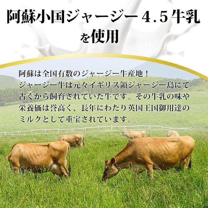 【阿蘇牧場】肥後の赤牛 ハンバーグ 150g×10個 計1.5kg 1500g 熊本県産 和牛100％ 阿蘇小国ジャージー4.5牛乳使用 大判 和牛ハンバーグ 小分け 個包装 焼くだけ簡単 冷凍 熊本 阿蘇 小国町