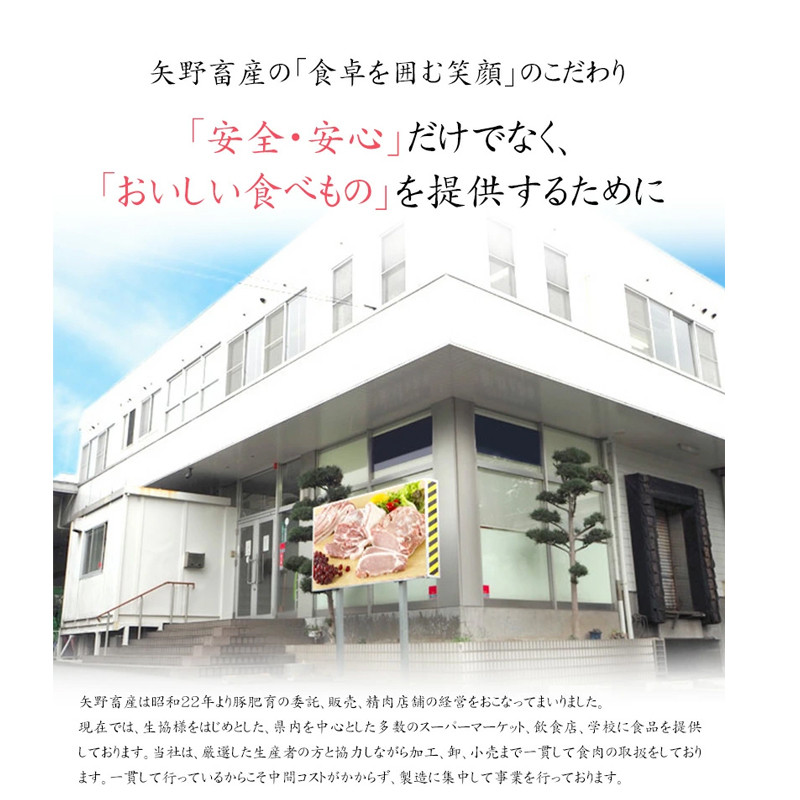 【矢野畜産】詰め合わせBセット 産地直送 くまもと 国産 熊本 阿蘇 和牛 あか牛 褐毛和種 あかげわしゅ 赤身 旨み凝縮 切り落とし 500g すき焼き しゃぶしゃぶ 500g 計1kg 矢野畜産 にくやの 老舗 おうちごはん おうち時間 通販 贈答 ギフト 阿蘇の自然の宝物
