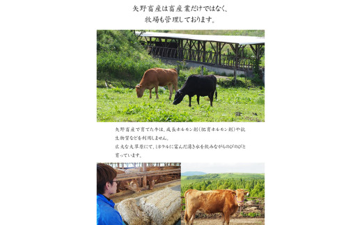 【矢野畜産】産地直送 くまもと 国産 熊本 阿蘇 和牛 あか牛 褐毛和種 あかげわしゅ カルビ 肩ロース 各500g 合計1kg 赤身 サシ 焼肉 焼きしゃぶ BBQ 矢野畜産 にくやの 老舗 おうちごはん おうち時間 通販 贈答 ギフト 阿蘇の自然の宝物