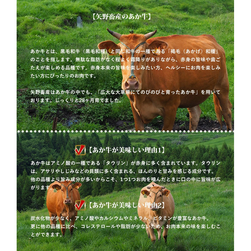 【矢野畜産】産地直送 くまもと 国産 熊本 阿蘇 和牛 あか牛 褐毛和種 あかげわしゅ 一頭食べ比べ 部位ミックス カルビ 肩ロース ロース 赤身 サシ 切り落とし 焼肉 すき焼き しゃぶしゃぶ ステーキ ハンバーグ 矢野畜産 にくやの 老舗 通販 贈答 贈り物 ギフト 阿蘇の自然の宝物