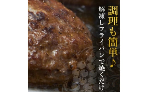【矢野畜産】ご自宅用 産地直送 くまもと あか牛 ハンバーグ 和牛ハンバーグ 手ごね 手づくり 150g 10個 合計1.5kg 国産原料 矢野畜産 にくやの プレミアムハンバーグ おうちごはん おうち時間 通販 記念日 冷凍 阿蘇の自然の宝物