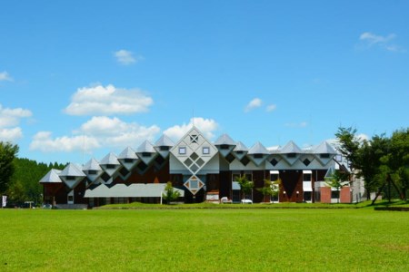 【学びやの里】12回 定期便 い・ろ・は・す 阿蘇の天然水 2L 12本 2ケース 12ヶ月 計144本 288L いろはす ILOHAS ナチュラルミネラルウォーター 国内ミネラルウォーター 九州 熊本県 阿蘇 天然水 ミネラルウォーター