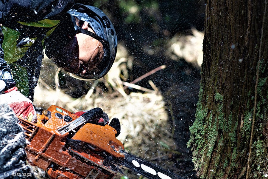 【KALCANO】イヤリング ジュエリー jewelry アクセサリー レディース 熊本 阿蘇小国杉 小国杉 工芸品 木製 樹脂パーツ 淡水パール ニッケルフリー素材使用 金属アレルギー対応 ハンドメイド ギフト プレゼント ジュエリーケース付 ogunist tsumuji -つむじ