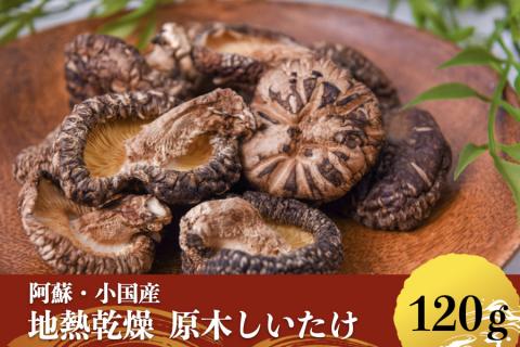 【地熱の里】阿蘇 熊本 小国郷 小国産 原木しいたけ 乾燥しいたけ 椎茸 ドライ 地熱乾燥 わいた温泉郷 SDGｓ 常温保管 30g 4袋 計120g ご自宅用 贈り物 プレゼント