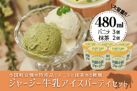 【JA阿蘇】小国ジャージー牛乳 阿蘇 小国郷 ジャージー牛乳 ゴールデンミルク 牧場しぼり アイスクリーム バニラ 抹茶 濃厚 贈答 ギフト 記念日 おうち時間 お取り寄せ アイス アイスクリームパーティーセット 480ml×5（バニラ×3、抹茶×2）
