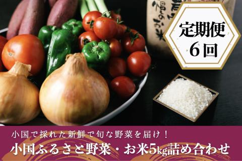 定期便6回】阿蘇小国産・旬の野菜とお米5kgの詰め合わせ: 小国町ANAの