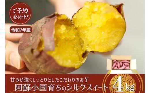 【下巣畑農産】先行予約 令和7年産 熟成 シルクスィート 4kg 令和8年1月出荷 さつま芋 唐芋 長期貯蔵 産地直送 まとめ買い 九州産 熊本産 小国産 地場産 スイーツ 蜜芋 贈答 ご家庭用 焼き芋 スィートポテト 高糖度 GAP認証 6次産業認定 認定農家