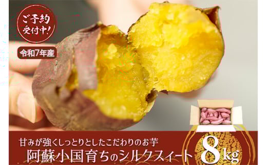 【下巣畑農産】先行予約 令和7年産 熟成 シルクスィート 8kg 令和8年1月出荷 さつま芋 唐芋 長期貯蔵 産地直送 まとめ買い 九州産 熊本産 小国産 地場産 スイーツ 蜜芋 贈答 ご家庭用 焼き芋 スィートポテト 高糖度 GAP認証 6次産業認定 認定農家