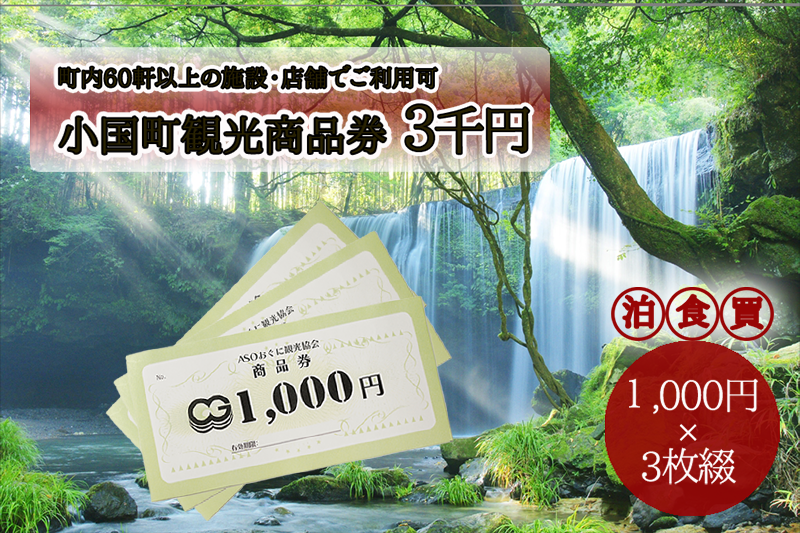 【ASOおぐに観光協会】阿蘇 小国町 観光商品券 3千円 1000円×3枚 ご指定の住所へ発送 杖立温泉 わいた温泉郷 湯けむり 蒸し湯 ジャージー牛乳 小国杉 旅行 観光 宿泊 飲食 お買い物 お土産 商品券 宿泊券 1000円券 3枚 現地払い利用 地域振興 旅行支援