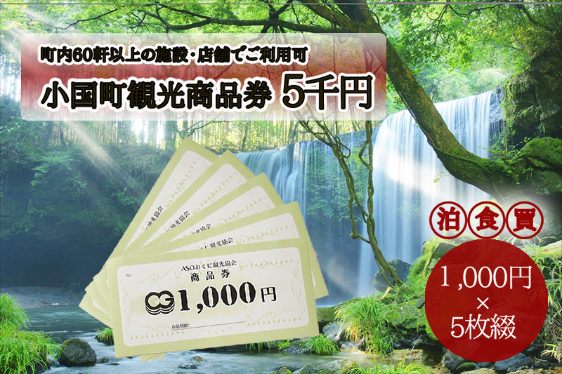 【ASOおぐに観光協会】阿蘇 小国町 観光商品券 5千円 1000円×5枚 現地引き取り 杖立温泉 わいた温泉郷 湯けむり 蒸し湯 ジャージー牛乳 小国杉 旅行 観光 宿泊 飲食 お買い物 お土産 商品券 宿泊券 1000円券 5枚 現地払い利用 地域振興 旅行支援