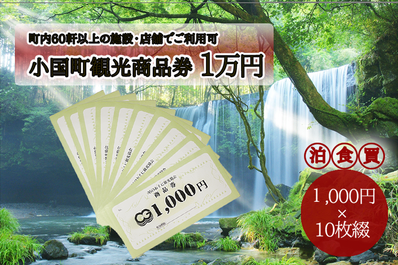 【ASOおぐに観光協会】阿蘇 小国町 観光商品券 1万円 1000円×10枚 現地引き取り 杖立温泉 わいた温泉郷 湯けむり 蒸し湯 ジャージー牛乳 小国杉 旅行 観光 宿泊 飲食 お買い物 お土産 商品券 宿泊券 1000円券 10枚 現地払い利用 地域振興 旅行支援