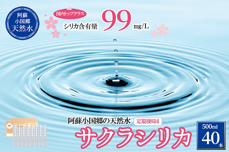 【6回定期便】天然水「サクラシリカ」500ml 40本 6回 計240本 定期便 シリカ含有量99mg/L シリカ水 ラベルレス 水 ミネラルウォーター 飲料水 飲料 ペットボトル ナチュラルウォーター サルフェート 炭酸水素イオン ミネラル 国産 阿蘇 小国郷