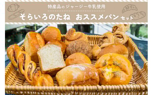 【そらいろのたね】 熊本 阿蘇 小国町 わいた温泉 山川温泉 手作りパン パンセット 詰め合わせ レーズン クロワッサン ジャージーミルク 木の実 チーズ クリーム セット 人気 ハンドメイド 創業20年以上 老舗 ツリーハウス 冷凍 おすすめパンセット