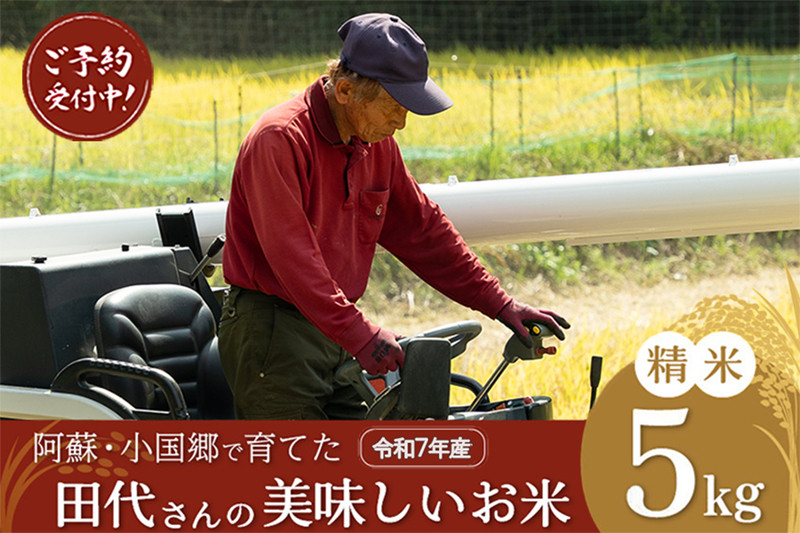【先行予約】令和7年産 新米 精米 5kg あきげしき ひのひかり こしひかり 11月出荷 産直 ノンブレンド米 単一原料 お米 白米 精白米 銘柄おまかせ ヒノヒカリ コシヒカリ 熊本 阿蘇 小国町 産地直送 国産 日本産 地場産 贈答 田代さんのお米