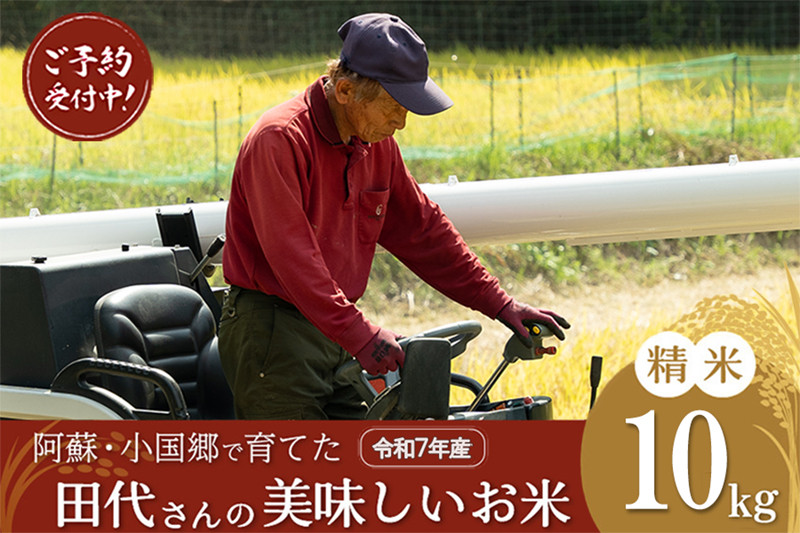 【先行予約】令和7年産 新米 精米 10kg あきげしき ひのひかり こしひかり 11月出荷 産直 ノンブレンド米 単一原料 お米 白米 精白米 銘柄おまかせ ヒノヒカリ コシヒカリ 熊本 阿蘇 小国町 産地直送 国産 日本産 地場産 贈答 田代さんのお米