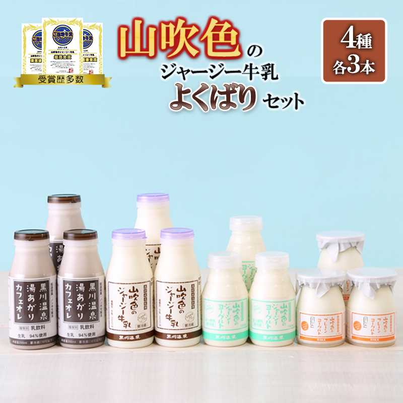 【山のいぶき】山吹色のジャージー牛乳 乳脂肪分 5％以上 低温殺菌 素材の味 ジャージー牛乳 飲むヨーグルト 湯あがりカフェオレ プレーンヨーグルトざらめ 各3本 計12本 ギフト 贈答 よくばりセット FOODEX JAPAN ご当地牛乳グランプリ 最高金賞 ご当地ヨーグルトグランプリ 金賞 熊本 阿蘇 小国郷