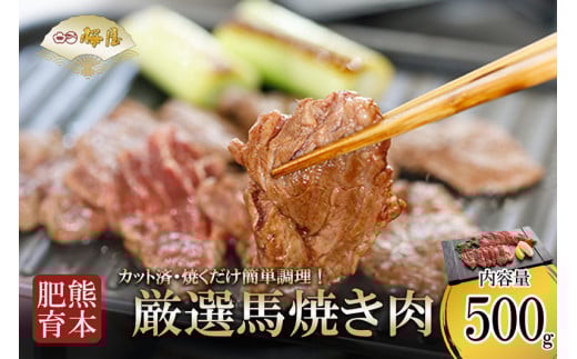 【桜屋】熊本肥育 熊本と畜 馬焼き 馬肉 焼肉 BBQ 炒め物 阿蘇 熊本 カット済 500g 真空パック 焼いたらもっと美味しい 名物 地元グルメ 老舗専門店 桜屋 ギフト 贈り物 贈答用 記念日 冷凍