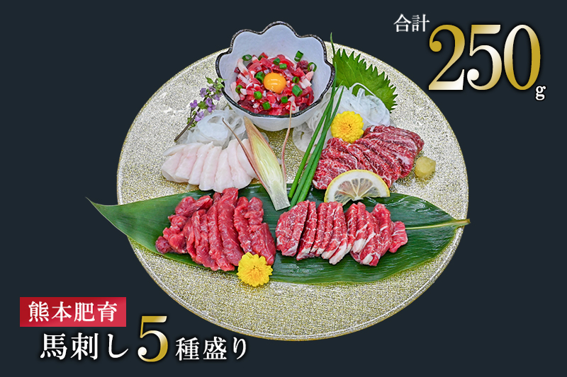 【馬刺しナンバーワン】熊本肥育 馬刺し5種 250g 赤身 特上赤身 中トロ コーネ 馬ユッケ 熊本と畜 新鮮 馬刺し 阿蘇 熊本 小分け 馬肉 専用醤油 真空パック 契約農場 お歳暮 ギフト 贈答用 記念日 小国町