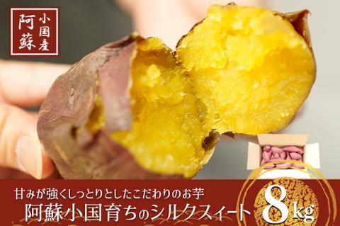 [阿蘇小国産]下巣畑農産の『小国シルクスイート』8kg