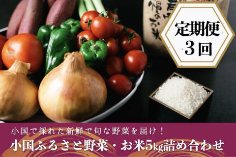 [定期便3回]阿蘇小国産・旬の野菜とお米5kgの詰め合わせ