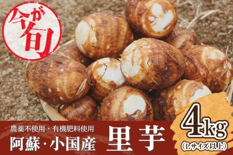阿蘇小国町産 令和5年 農薬不使用・有機肥料使用の里芋4kg