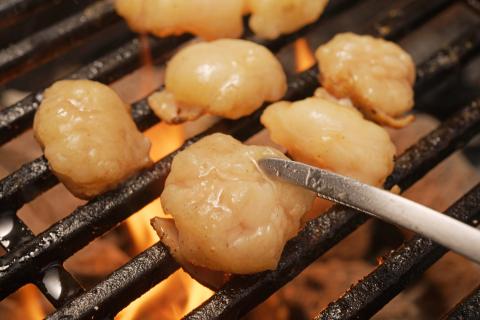 阿蘇うぶやま村の放牧あか牛焼肉堪能セット《60日以内に出荷予定(土日祝除く)》---ubuyama_yns_19_1100g---