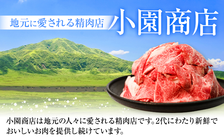 熊本県産あか牛 切り落とし 700g あか牛 牛肉 切り落とし 切落し ギフト 贈り物 贈答用 熊本 阿蘇 送料無料 【配送不可地域：離島】《60日以内に出荷予定(土日祝除く)》---ubuyama_kzs_3_700g---