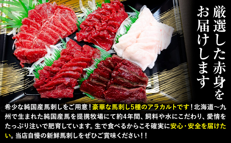 馬刺し 純国産 ウマウマ アラカルト Bセット（たてがみ） 専用醤油付き 50g ×5種 計250g 有限会社九州食肉産業《90日以内に出荷予定(土日祝除く)》熊本県 産山村 純国産 馬刺し 国産 熊本肥育 馬刺 馬肉 詰め合わせ 贈答用 ギフト お中元 お歳暮---ubuyama_kss_18_250g---