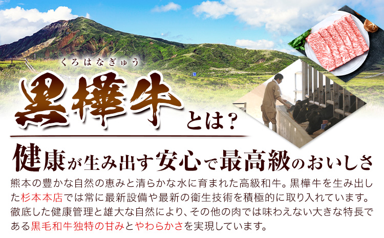 熊本県産 黒毛和牛 黒樺牛ロースステーキ　400g 肉好き必見 黒毛和牛 肉 牛肉 200g×2 国産 専門店 熊本県 取り寄せ 贈答 ギフト お中元 お歳暮 熊本 阿蘇 産山村 送料無料 杉本本店《60日以内に出荷予定(土日祝除く)》---ubuyama_sgm_19_400g---