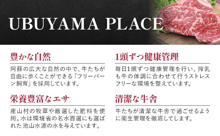 熊本県産 あか牛 焼肉 600g UBUYAMAPLACE《30日以内に出荷予定(土日祝除く)》あか牛 肉 牛肉 国産牛 ブランド牛 焼肉 小分け---ubuyama_ubp_18_600g---
