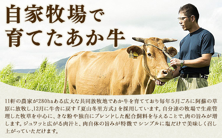 生産者直送！GI認証 くまもとあか牛 すき焼き用 500g ・ 焼き肉用 500g 食べ比べセット山の里《60日以内に出荷予定(土日祝除く)》熊本県 産山村 BBQ 焼き肉 焼肉 すき焼き くまもとあか牛 赤身 和牛 牛肉 牛 国産 あか牛 贈り物【配送不可地域あり】---ubuyama_yms_24_1kg---