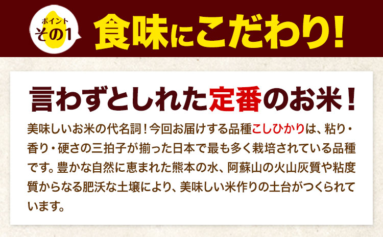 令和7年産  こしひかり 10kg 《7-14日以内に出荷予定(土日祝除く)》令和7年産 熊本県産 ふるさと納税  白米 精米 ひの 米 こめ ふるさとのうぜい コシヒカリ コメ お米 おこめ ---ubuyama_lcl_671_10kg---