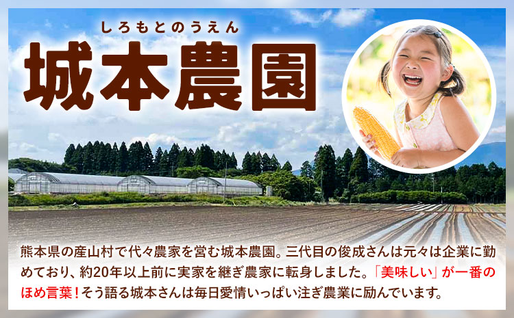 《先行受付開始》朝採れスイートコーン ゴールドラッシュ 10本セット とうもろこし《2026年7月中旬-8月中旬出荷》 ---ubuyama_jmn_3_10p---