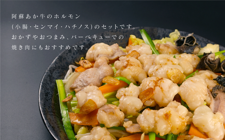 産山の隠れ家的名店「焼肉正」厳選 「放牧あか牛 ホルモン焼き」セット《60日以内に出荷予定（土日祝除く）》---ubuyama_yns_16_300g---